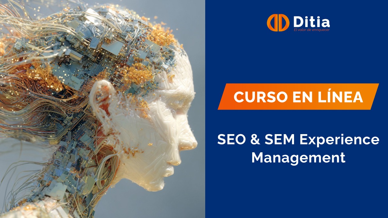 SEO & SEM EXPERIENCE MANAGEMENT